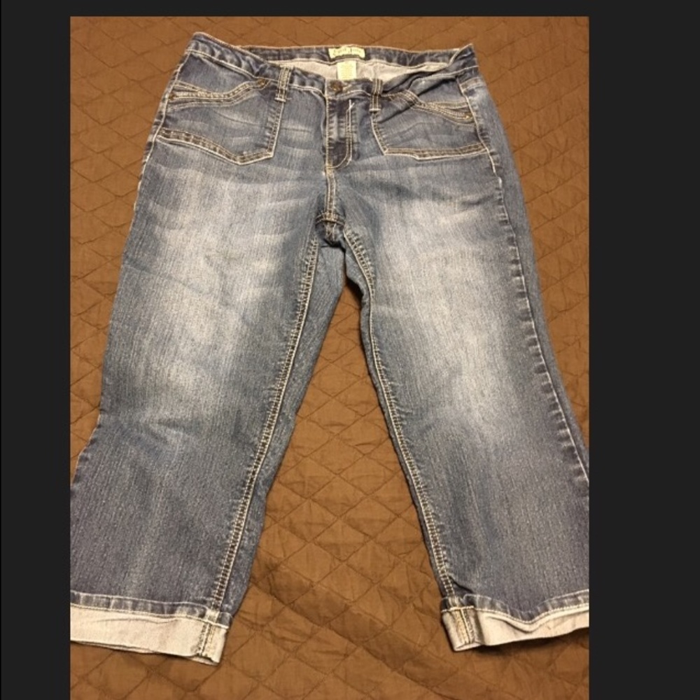 Earl Jean Capri Size 14