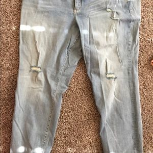 Torrid jeans size 24
