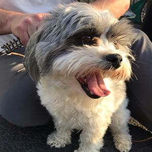 Meet your Posher, Nick