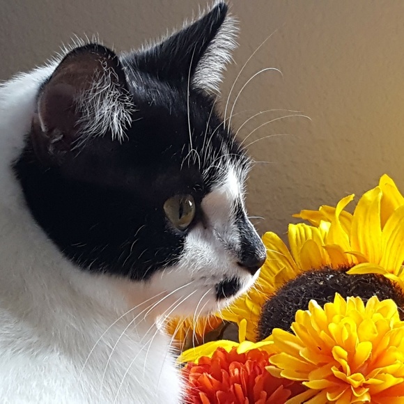 Meet your Posher, Michelle - Picture 1 of 1