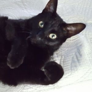 Meet your Posher, Vickie