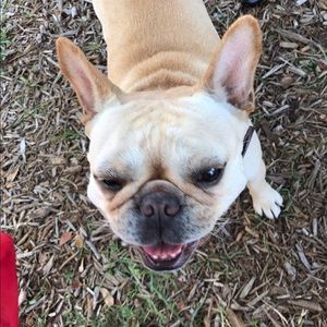 Meet your Posher, Manny