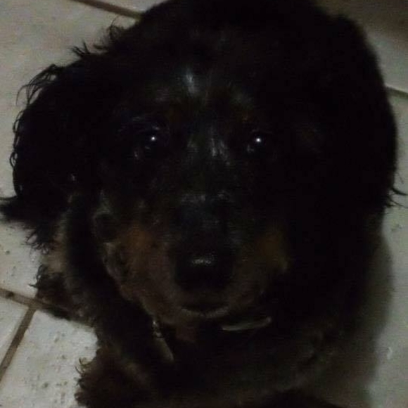 Meet your Posher, Shelly - Picture 1 of 1