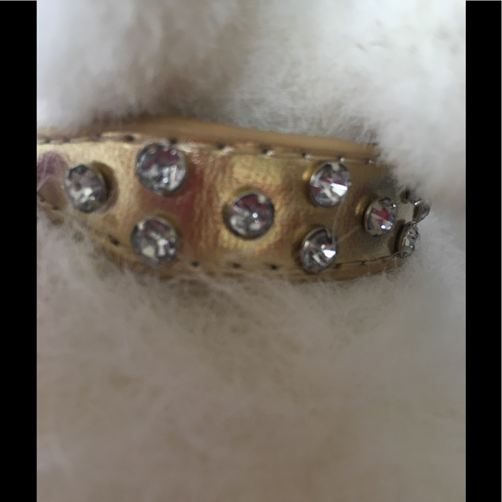Signature Collar for Tiny Pet Gold & Rhinestones