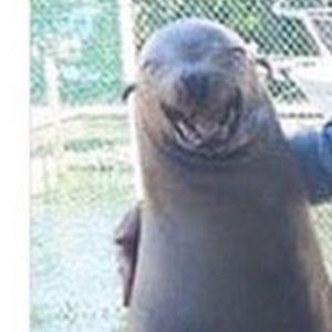 Meet your Posher, Conor