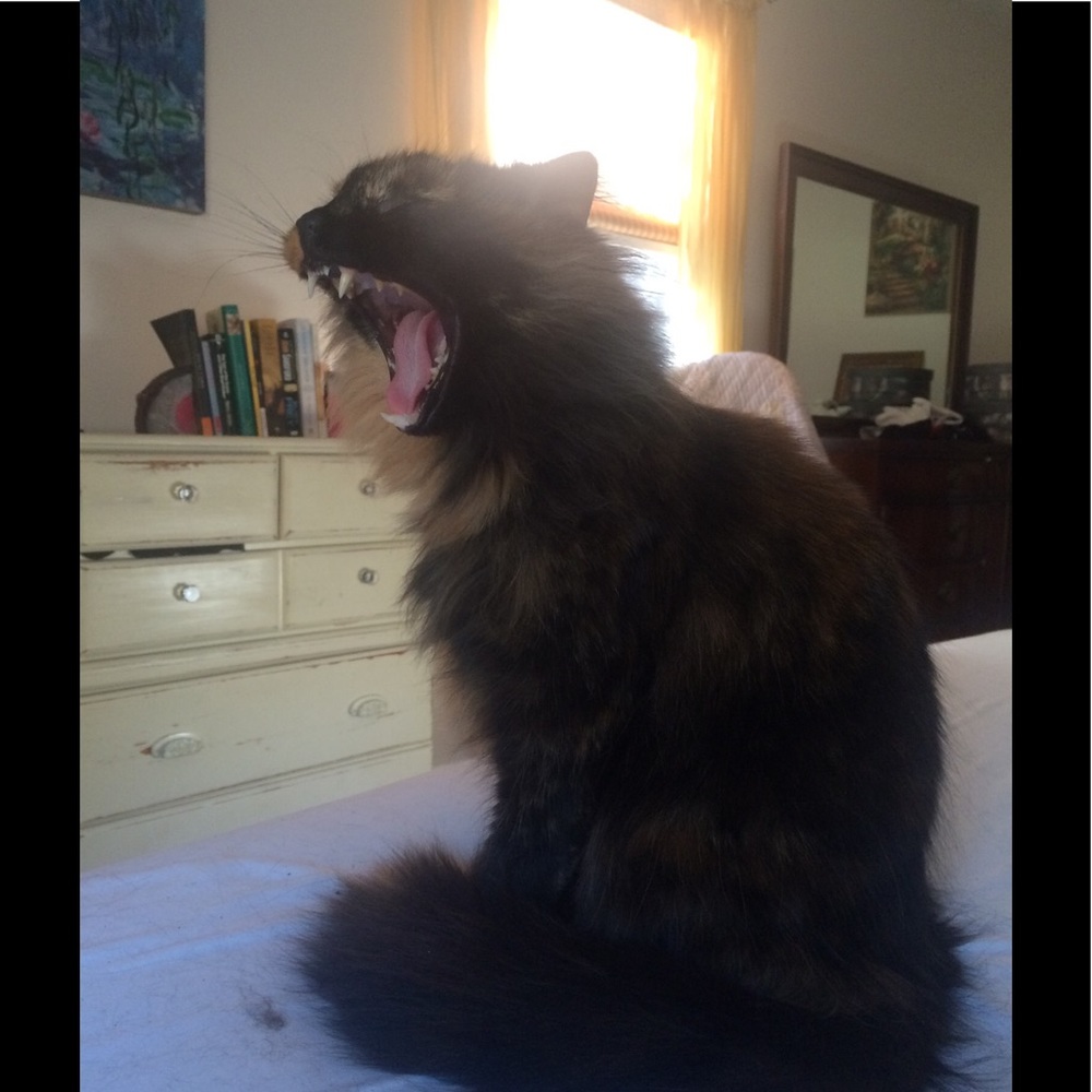 Meet your Posher, Kathy