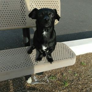 Meet your Posher, Johanna