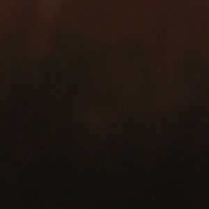 Meet your Posher, Shelby