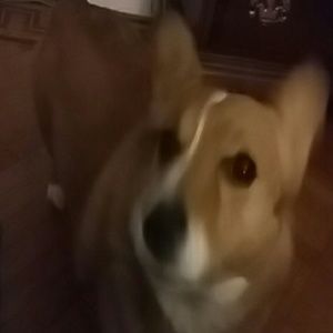 Meet your Posher, Karen