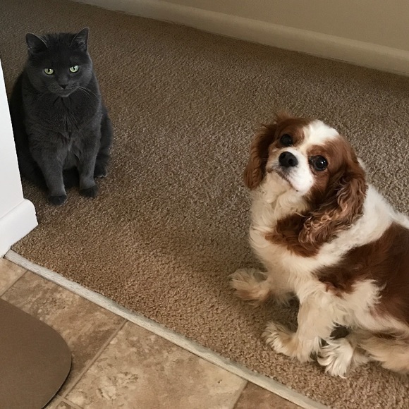 Meet your Posher, Michelle - Picture 5 of 8