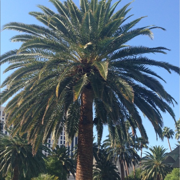 Meet your Posher, Michelle - Picture 7 of 8