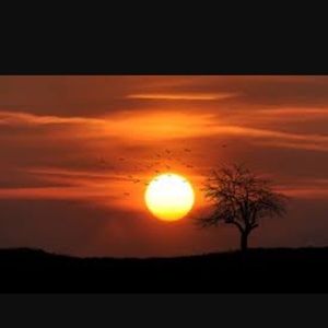 Meet your Posher, Halana