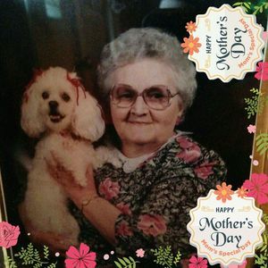 Meet your Posher, Sheryl meadows