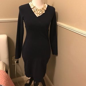 American Apparel Bodycon Long sleeve Dress