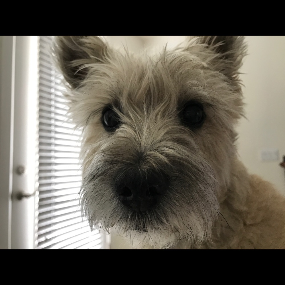 Meet your Posher, Jason