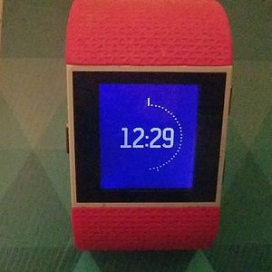 Large Tangerine Fitbit Surge