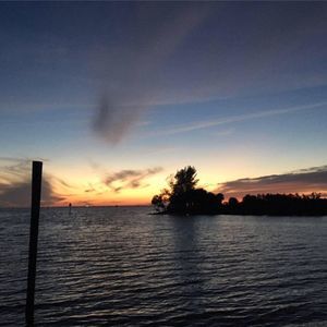 Meet your Posher, Teri