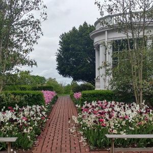 Meet your Posher, Stacey