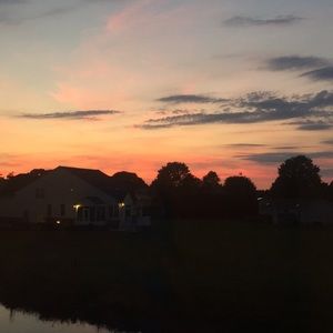 Meet your Posher, Campbell