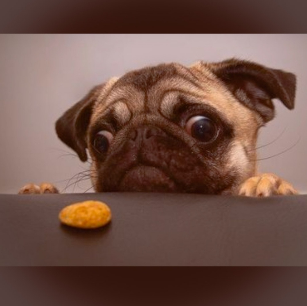 Meet your Posher, Maureen