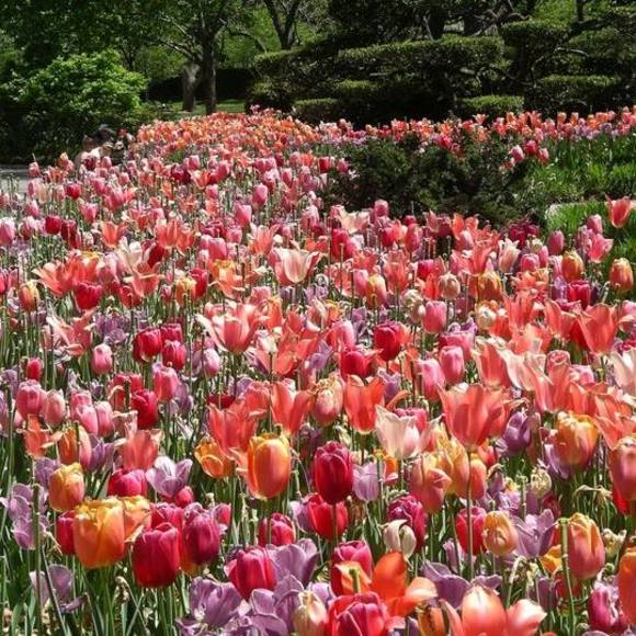 Meet your Posher, Ruth - Picture 1 of 1