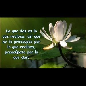 Meet your Posher, Evelyn