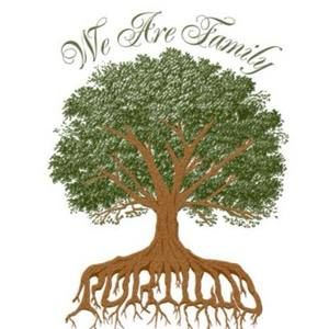 Meet your Posher, Singleton