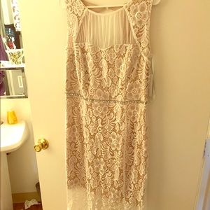 Special Event Dress 👗 🎉