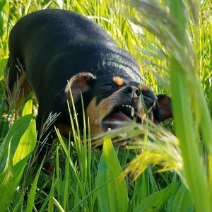 Meet your Posher, Leanne