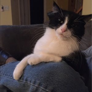 Meet your Posher, Lisa