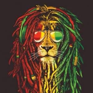 Meet your Posher, Abyssinian