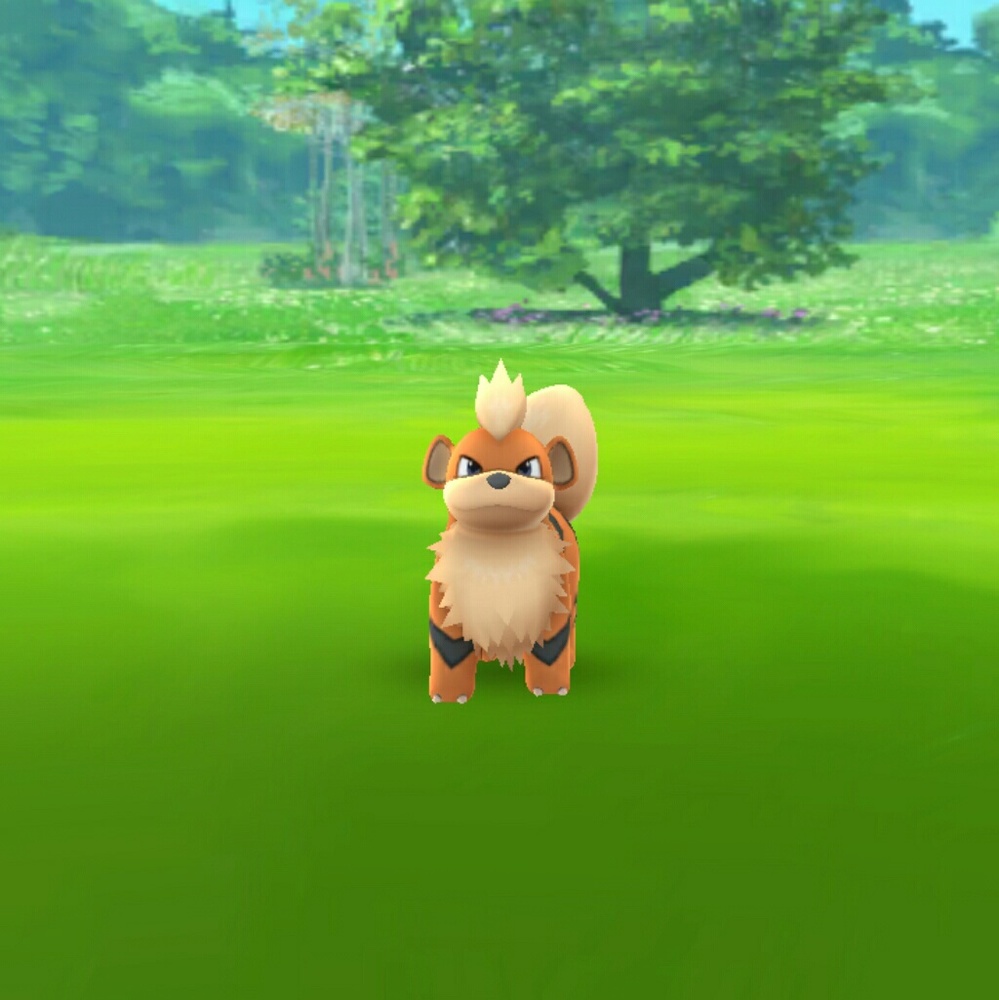 Meet your Posher, Gerardo