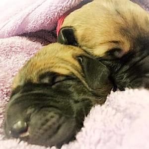 Meet your Posher, Sonya