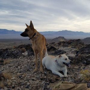 Meet your Posher, Deb