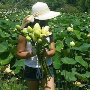 Meet your Posher, Nang