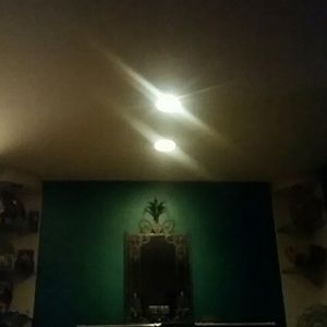 Meet your Posher, Gary