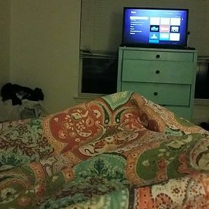 Meet your Posher, Stacey