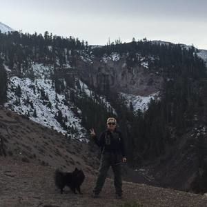 Meet your Posher, Cheryl