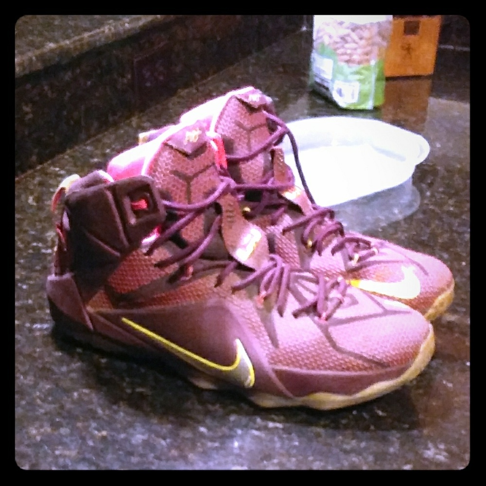 Lebron " Double Helix" Nike Airs