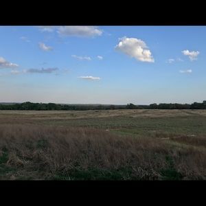 Meet your Posher, Nikka