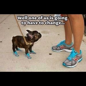 Live a little, laughter a little...