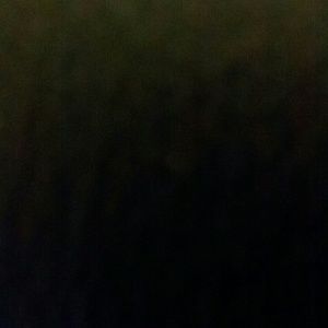 Meet your Posher, Charles