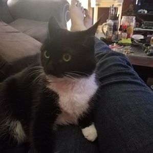 Meet your Posher, Tylynn