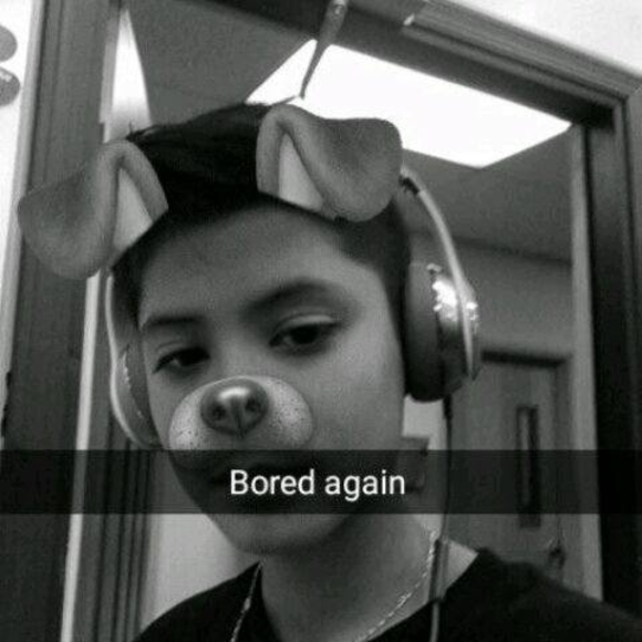 Meet your Posher, Osvaldo - Picture 1 of 1