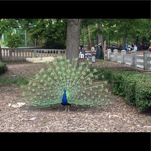 Meet your Posher, Gl