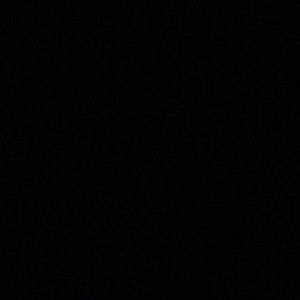 Meet your Posher, Javonte