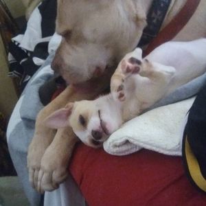 Meet your Posher, Wanda