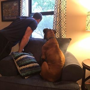 Meet your Posher, Mike