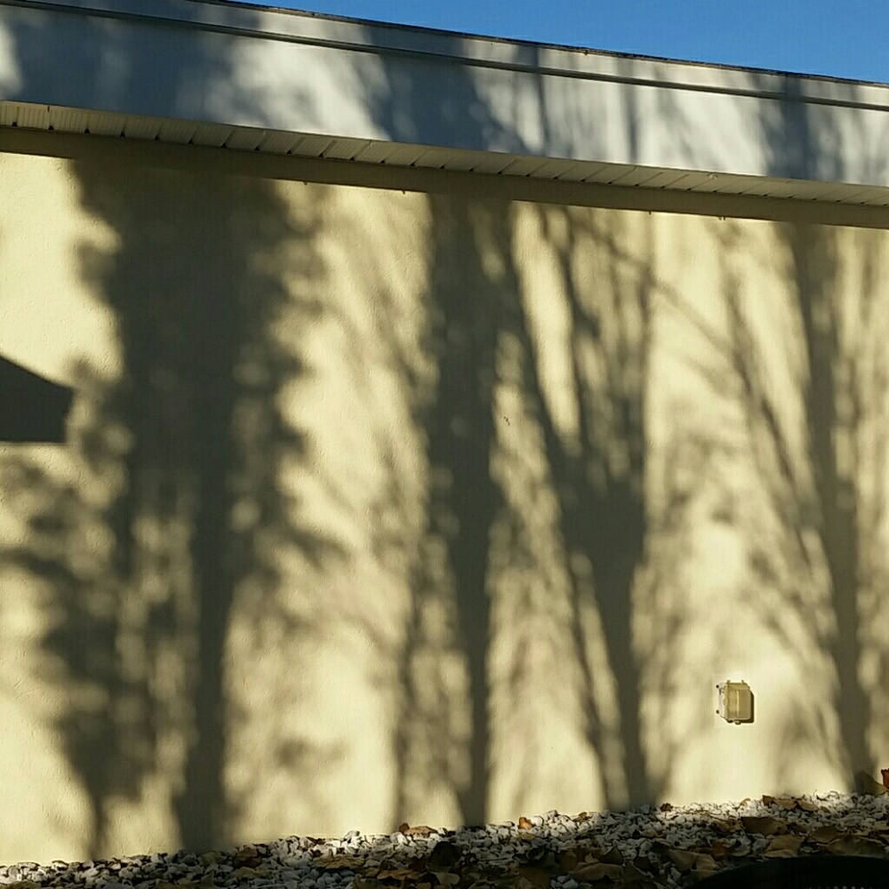 Meet your Posher, Tami