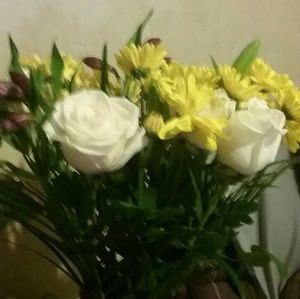 Meet your Posher, Jeane